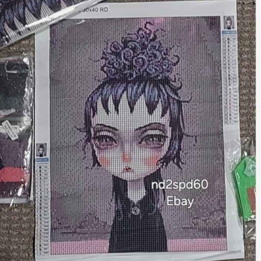 Beetlejuice dimond art (New in package)